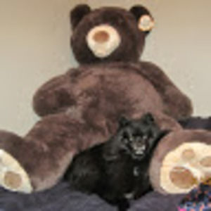 Meet your Posher, Ursula